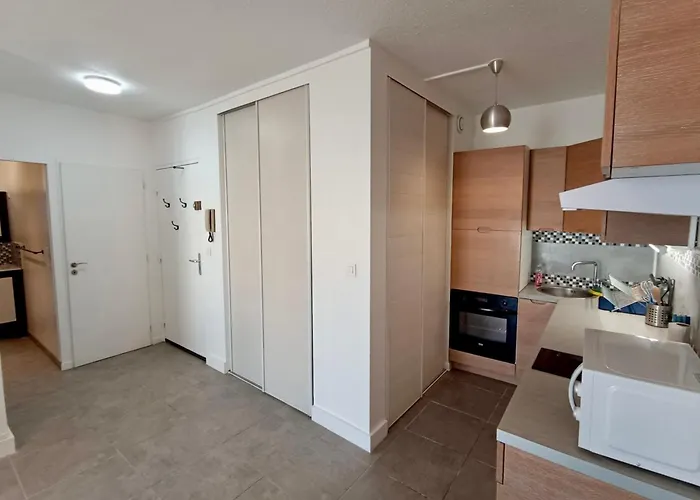 T2 A Avec Parking Et Animaux Admis, Proche Gare Et Plages - Fr-1-338-562 Apartmán Sète
